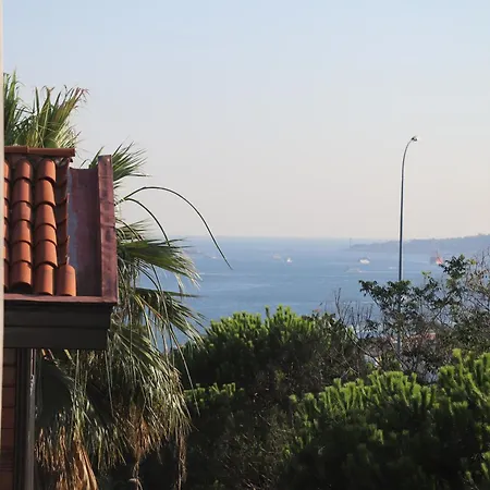 מלון Reflection Of The Bosphorus